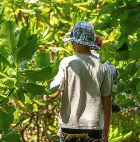 people exploring dunk island